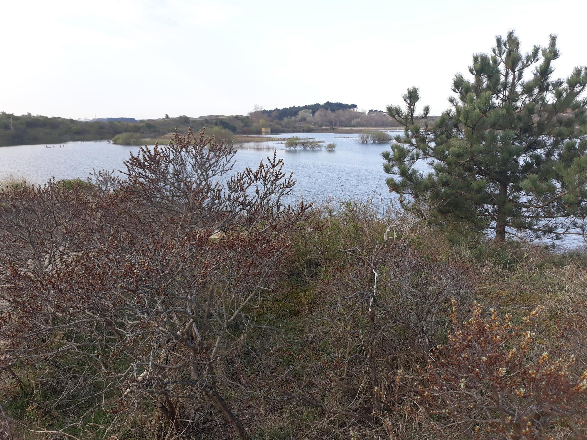 Langeafstandsloop Zuid-Kennemerland