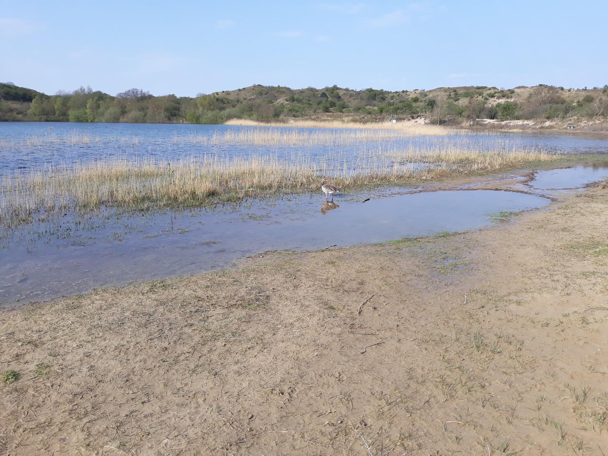 Langeafstandsloop Zuid-Kennemerland