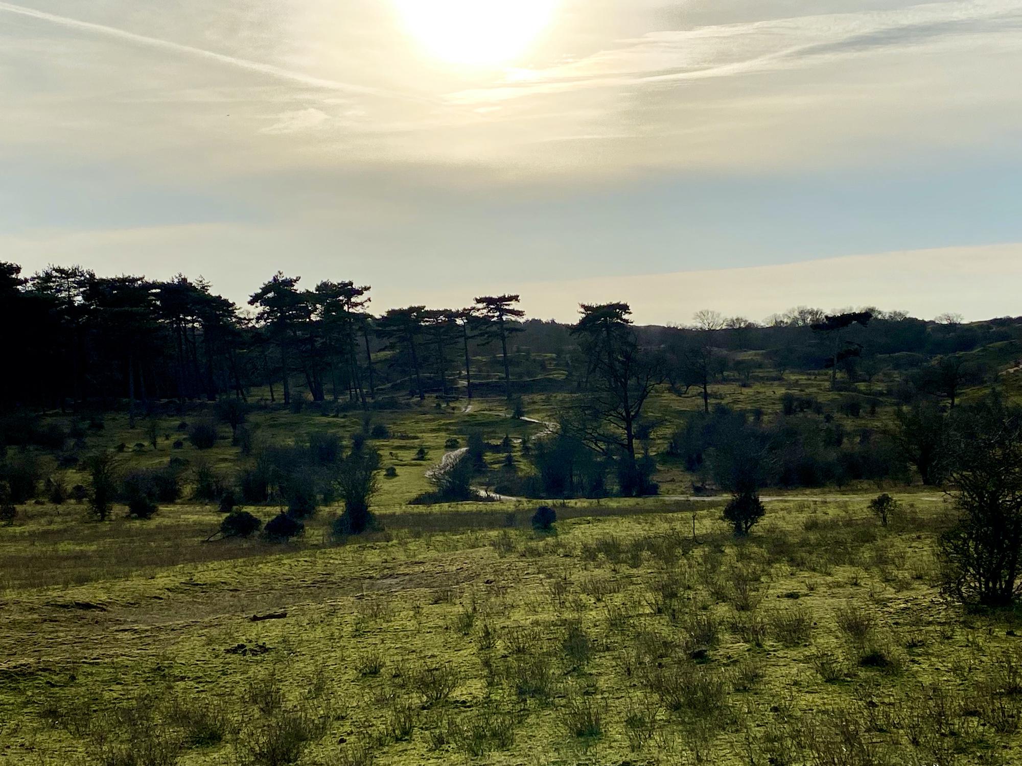 Langeafstandsloop Zuid-Kennemerland